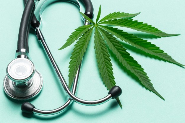 Se dispara la producción de cannabis medicinal