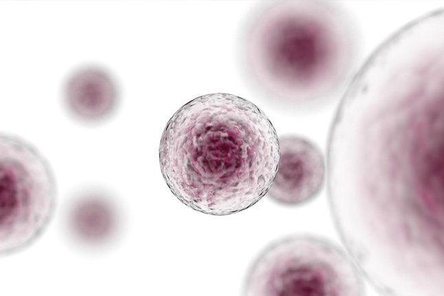 Naturaleza escéptica de las pruebas de embriones poligénicos