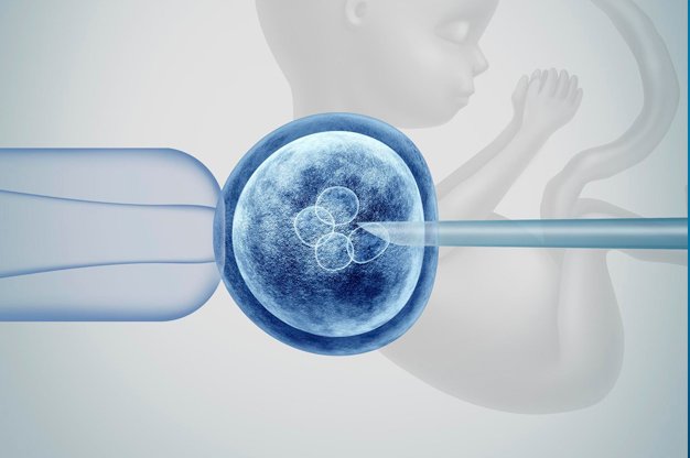 Científicos del Reino Unido piden que el banco de embriones aumente el material para la investigación