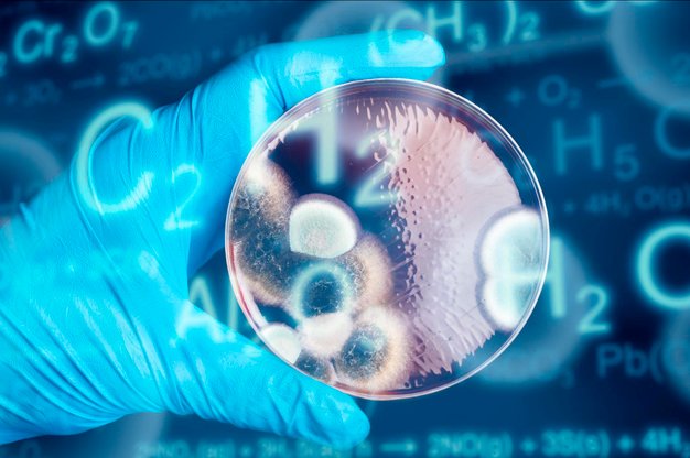 Los científicos informan sobre la creación de los primeros modelos de embriones sintéticos humanos