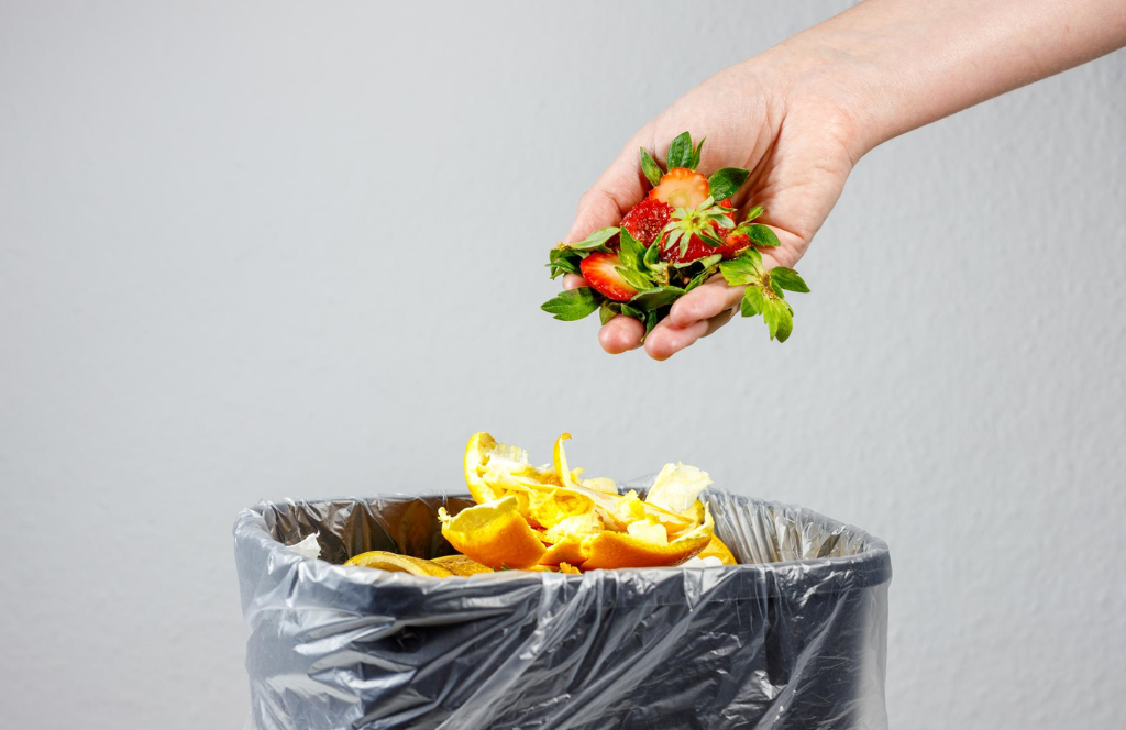 Tips para cuidar sus alimentos sin tanto desperdicio en casa