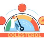 Colesterol: lo que no te han contado sobre el “bueno” y el “malo”