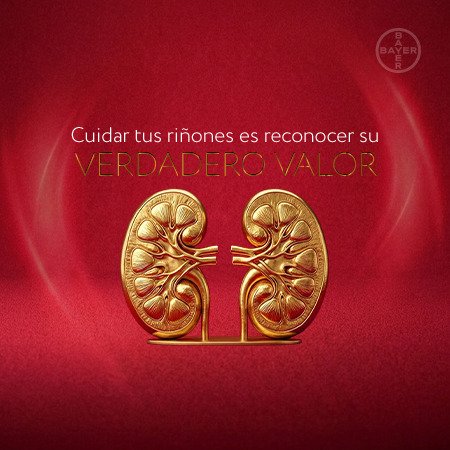 Banner cuadrado Epicrisis_CMD_Día del riñón_Bayer (1) Banner cuadrado Epicrisis_CMD_Día del riñón_Bayer (1)